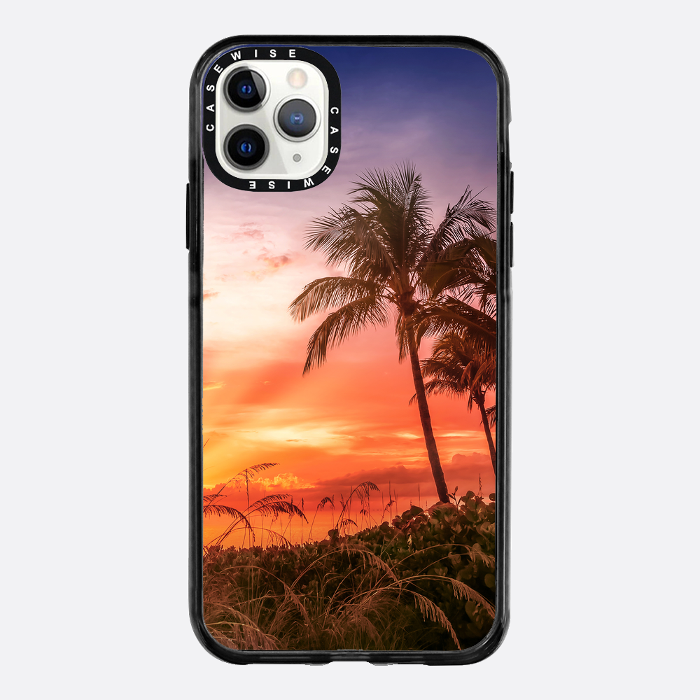 BONITA BEACH Picturesque Sunset - Case