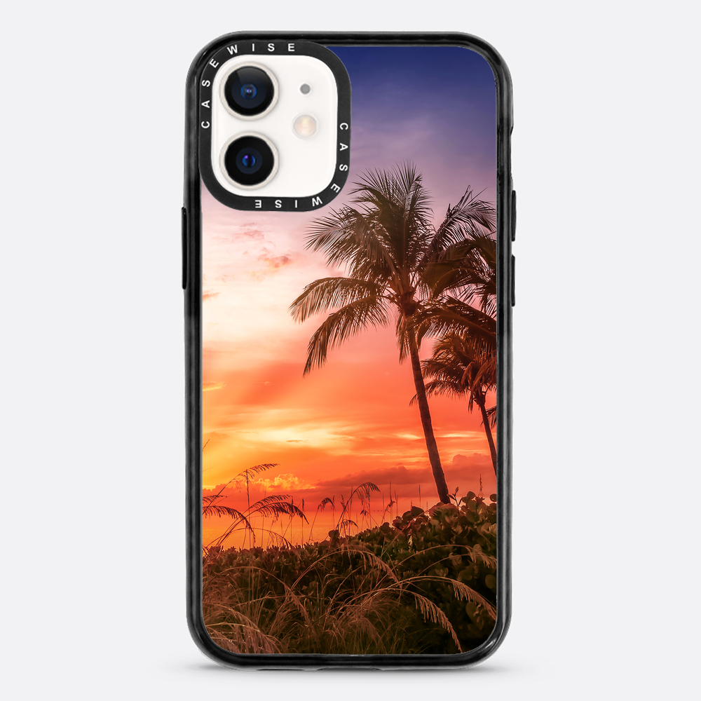 BONITA BEACH Picturesque Sunset - Case