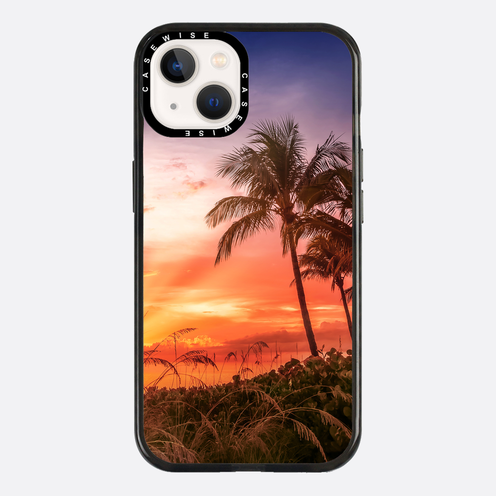 BONITA BEACH Picturesque Sunset - Case