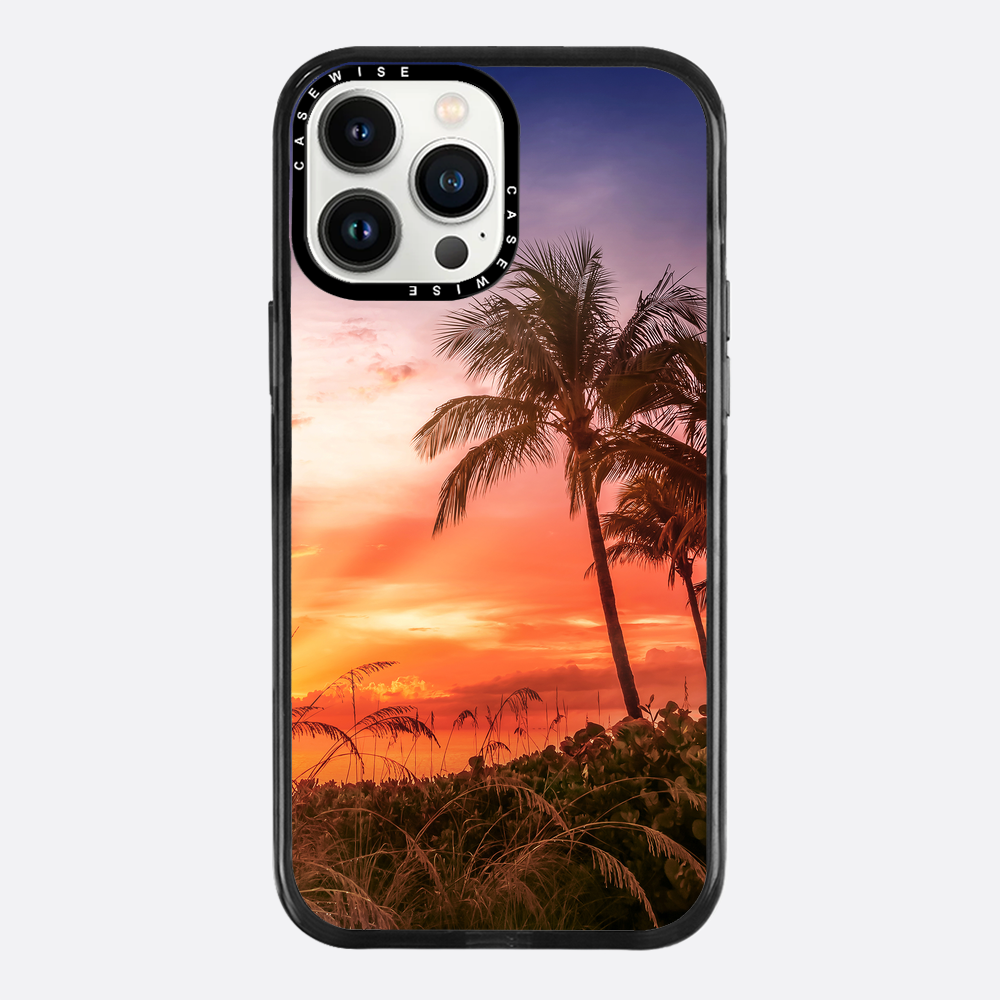 BONITA BEACH Picturesque Sunset - Case