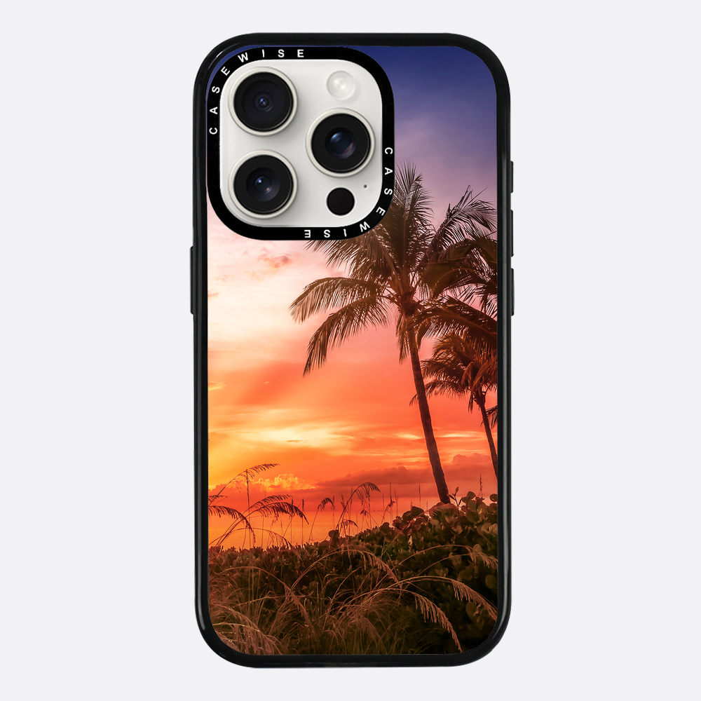 BONITA BEACH Picturesque Sunset - Case