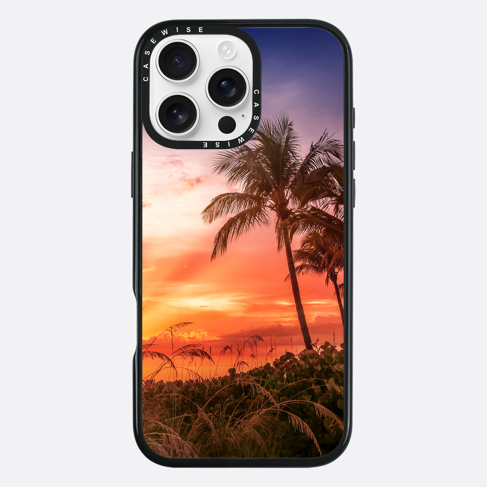 BONITA BEACH Picturesque Sunset - Case