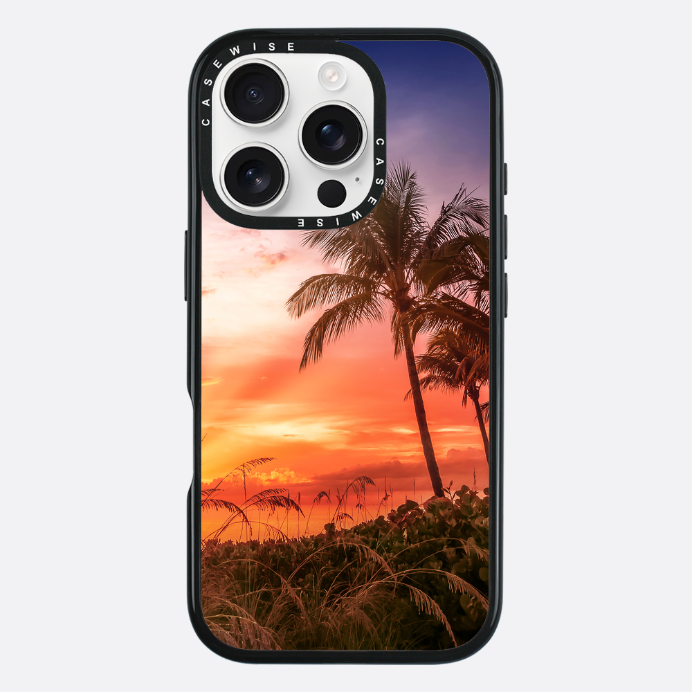 BONITA BEACH Picturesque Sunset - Case