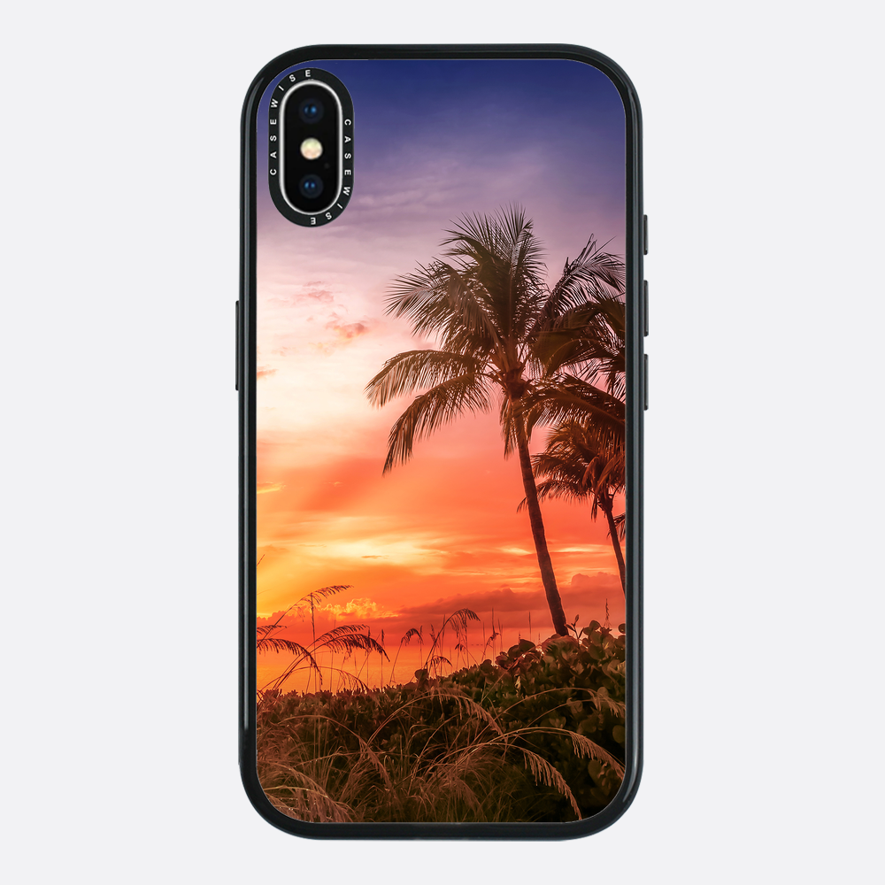 BONITA BEACH Picturesque Sunset - Case