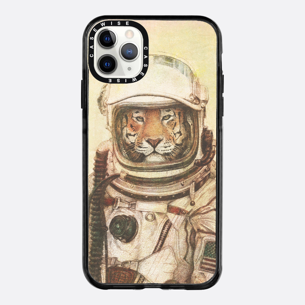 Ap - Case