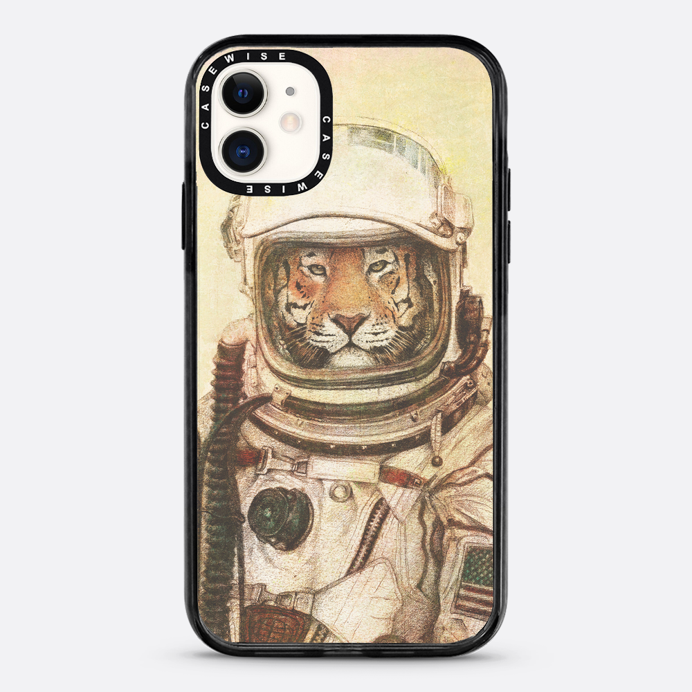Ap - Case