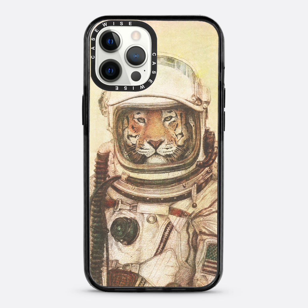 Ap - Case