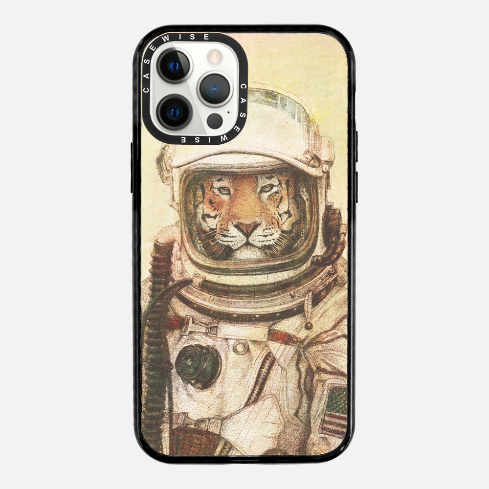 Ap - Case