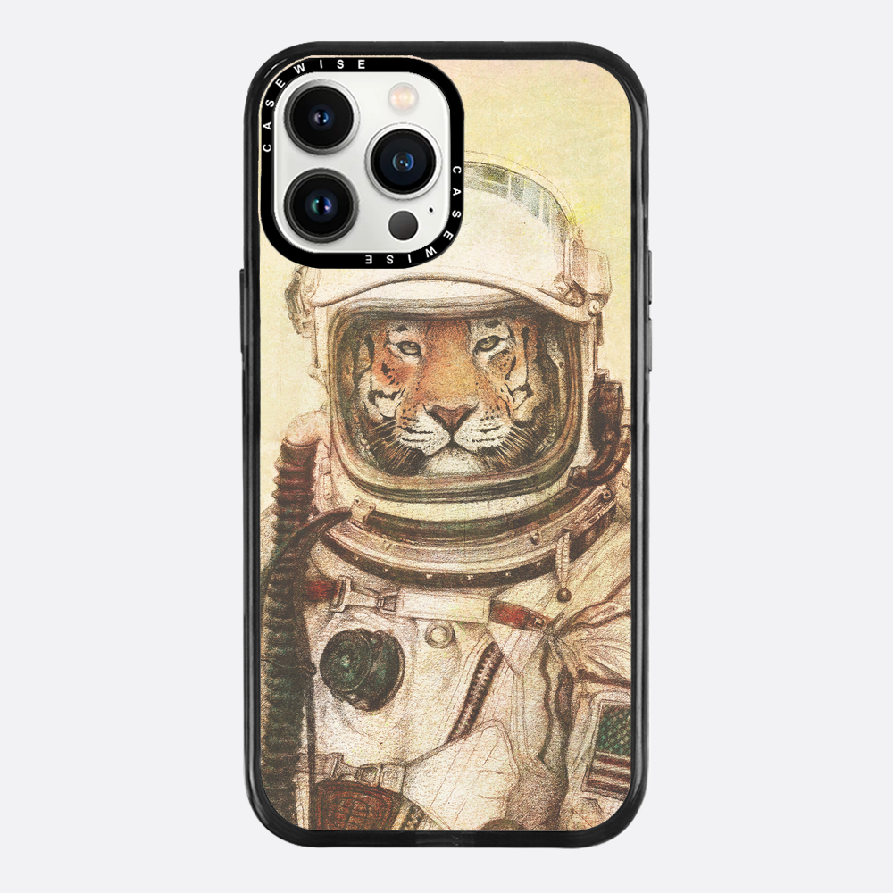 Ap - Case