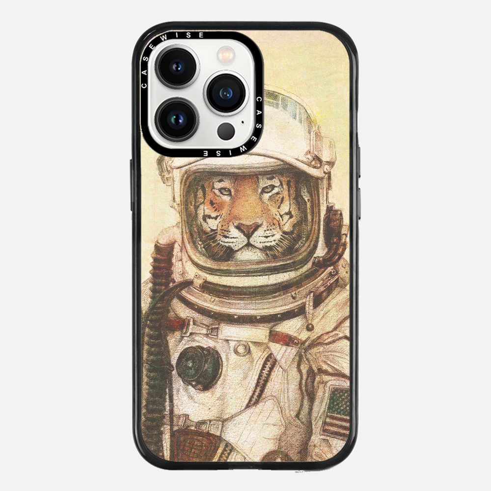 Ap - Case
