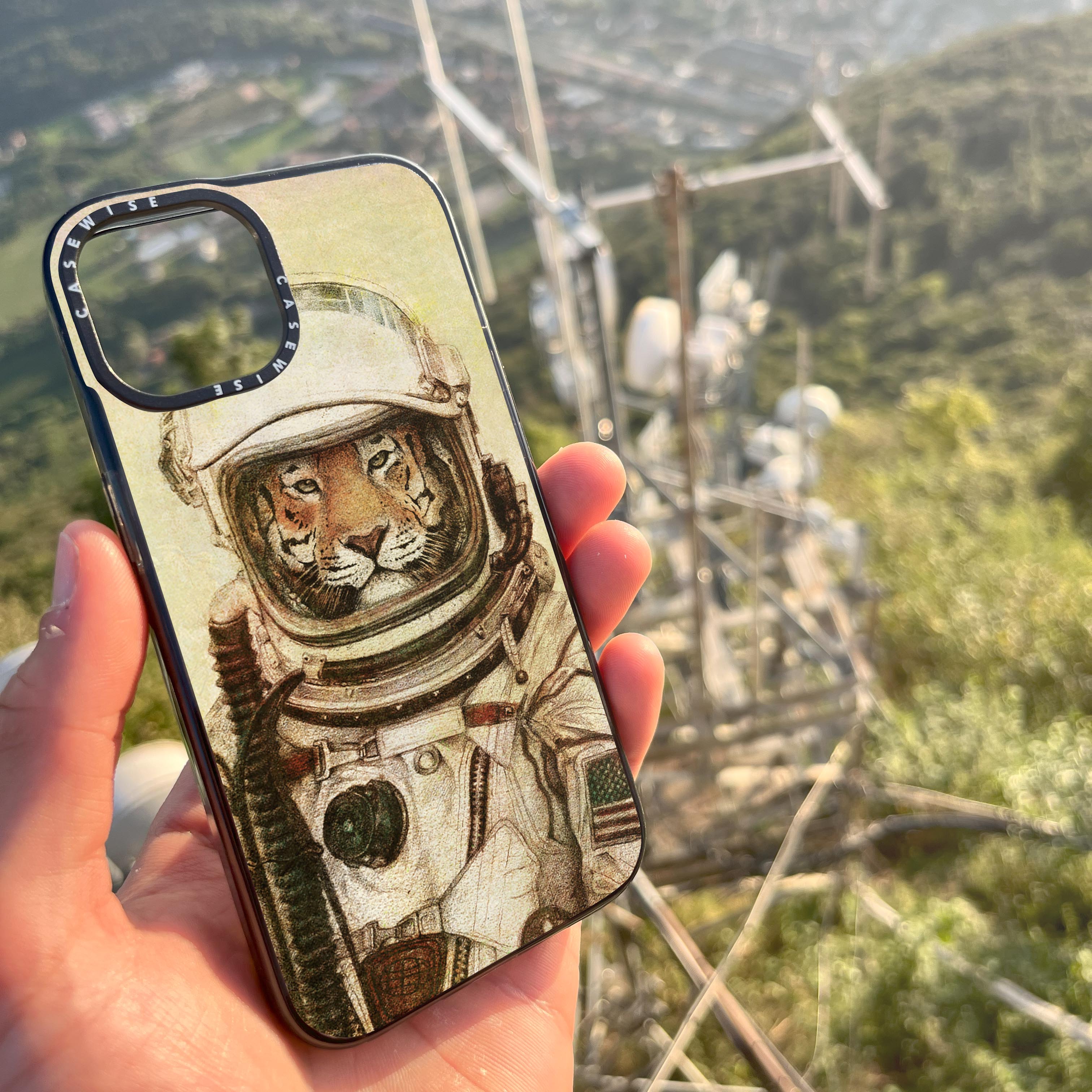 Ap - Case