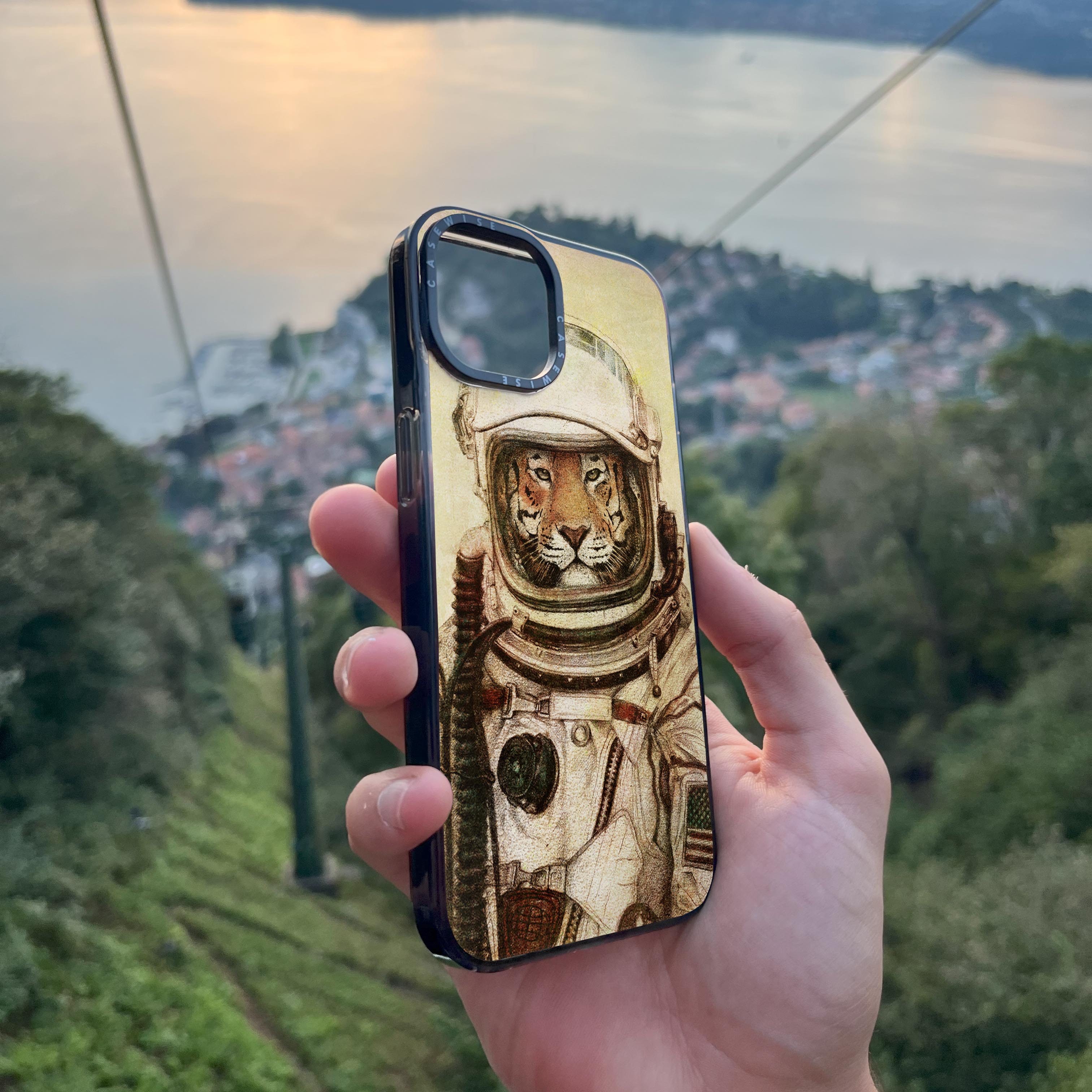 Ap - Case
