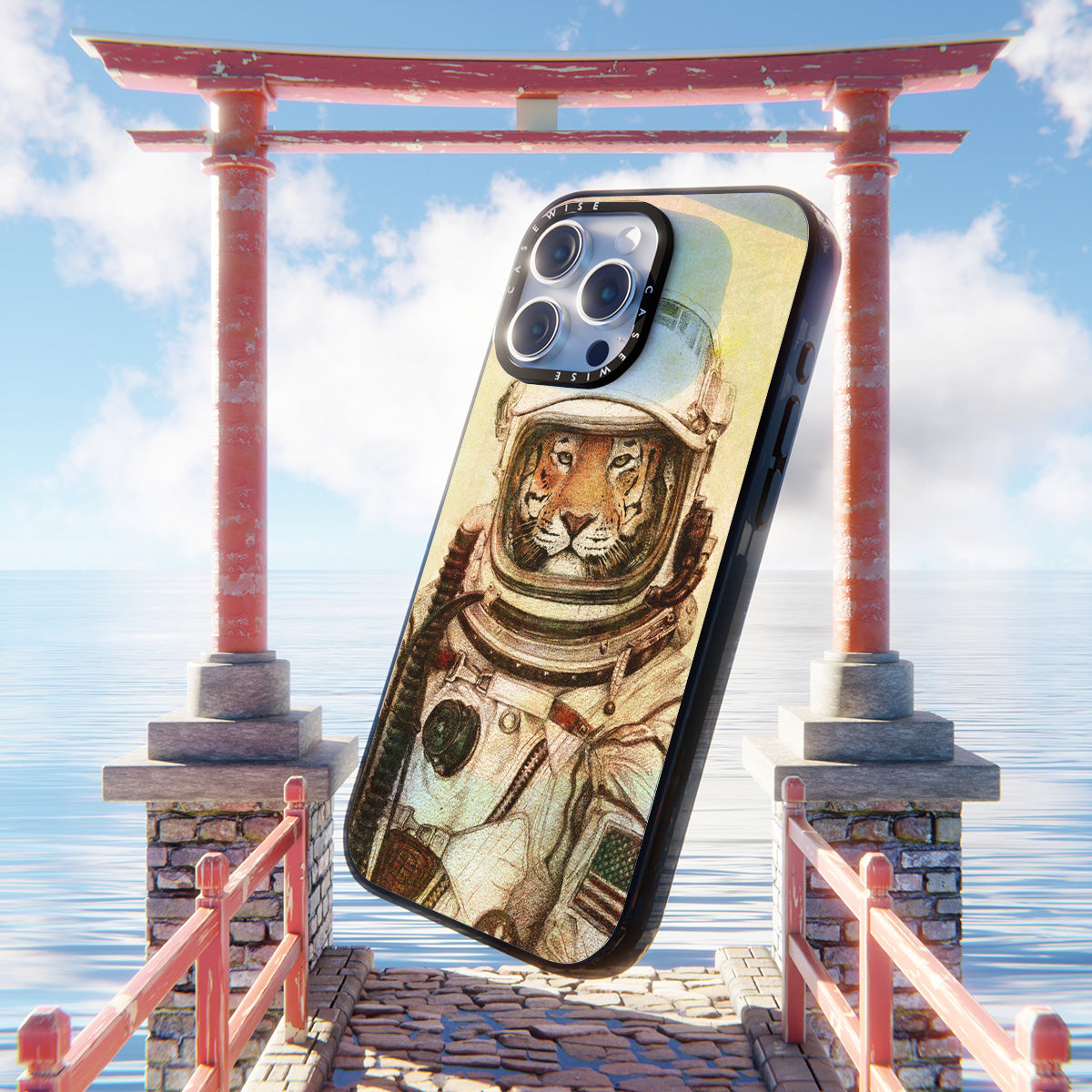 Ap - Case