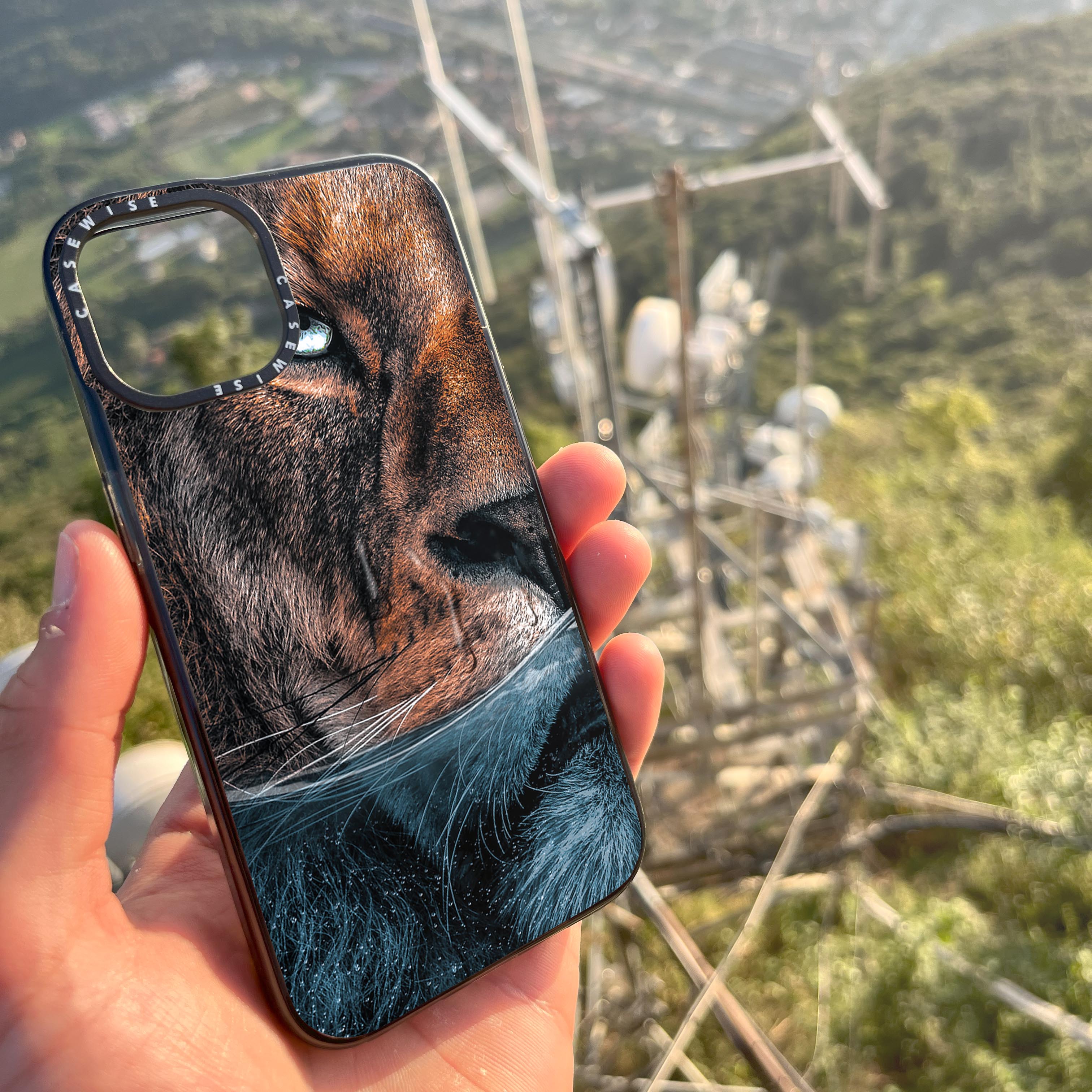 Lion Underwater - Case