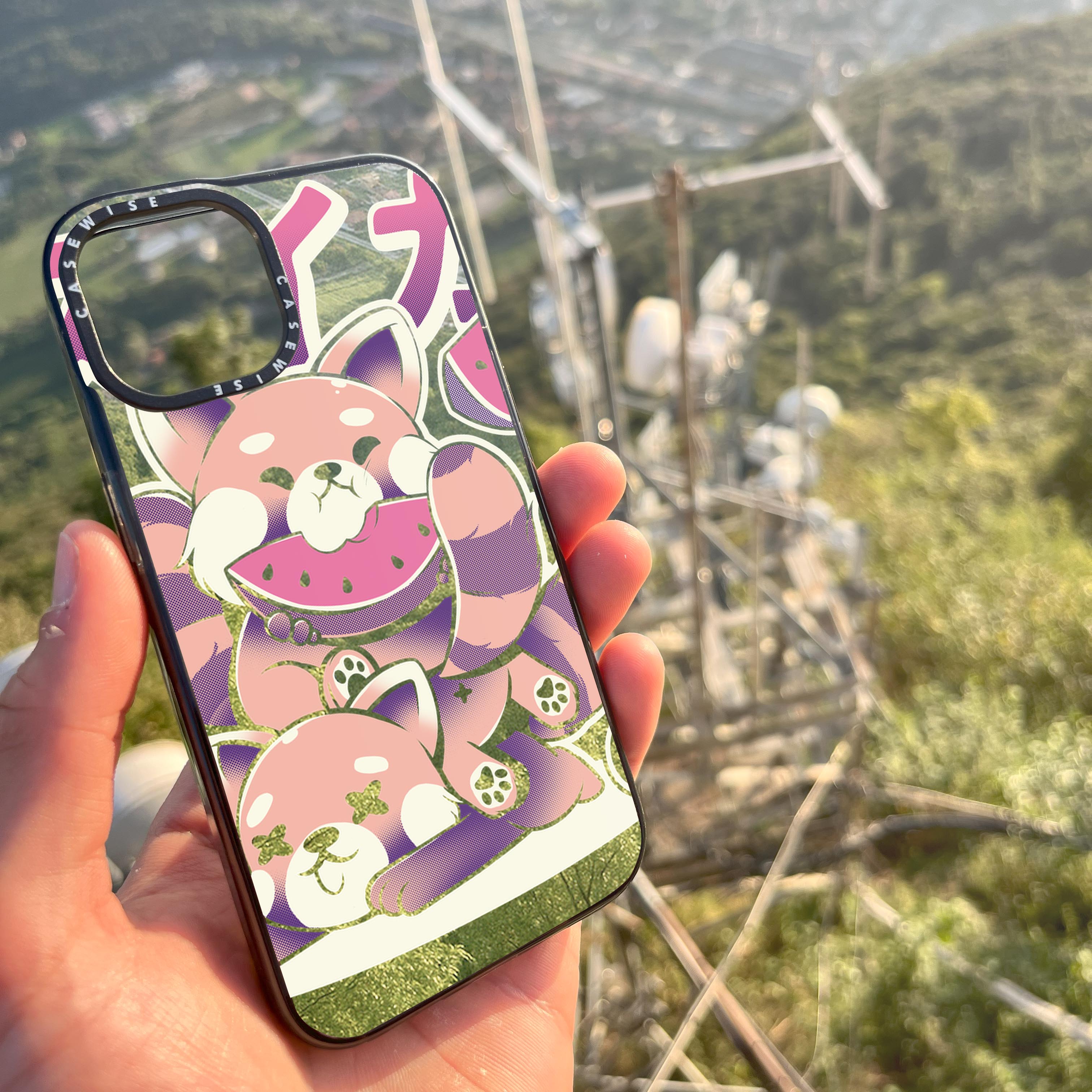 Watermelon - Case