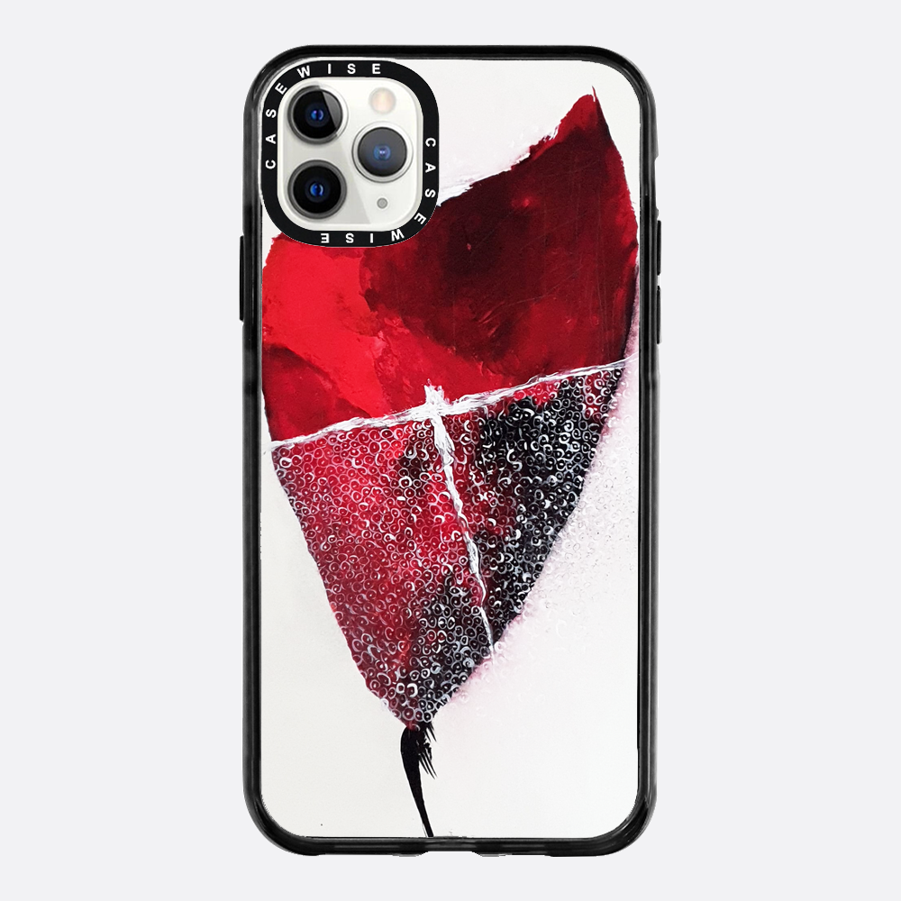 Spring 1 - Case