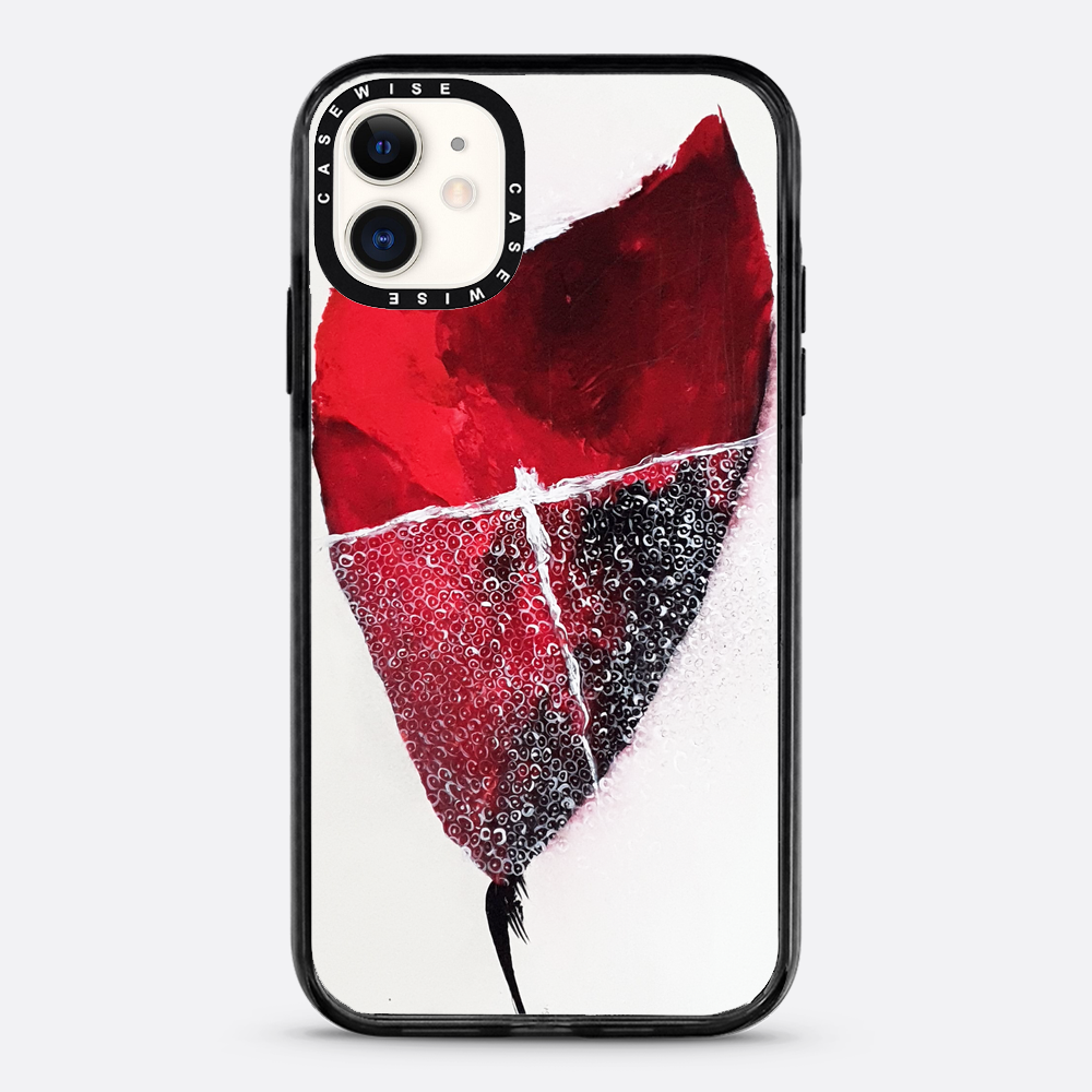 Spring 1 - Case