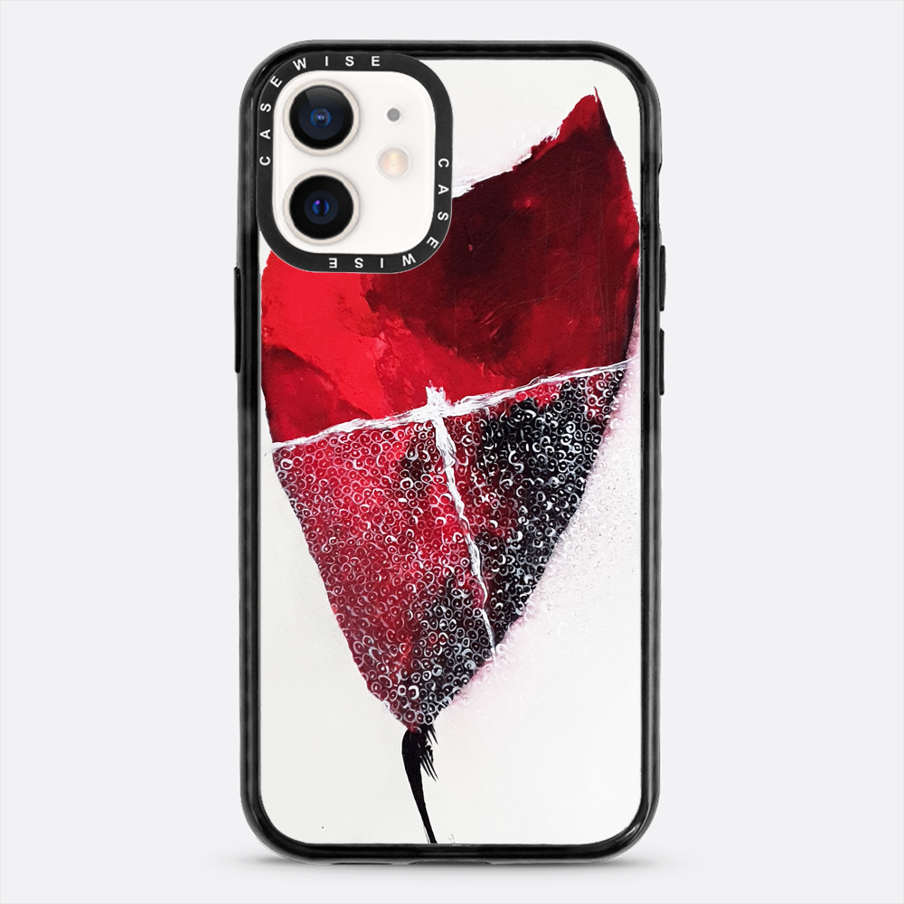 Spring 1 - Case