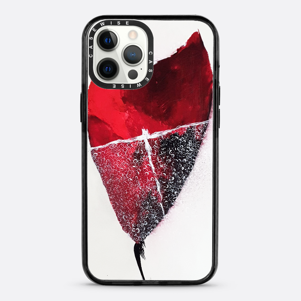 Spring 1 - Case