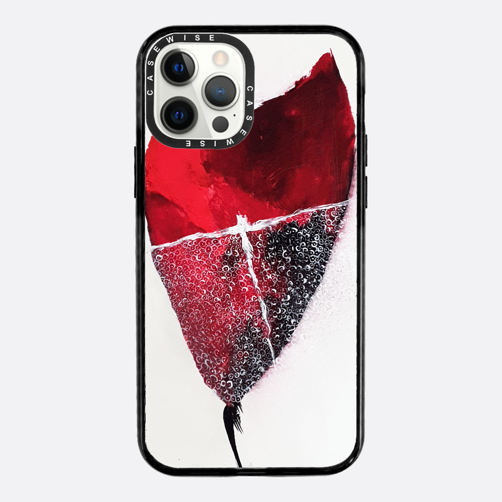 Spring 1 - Case