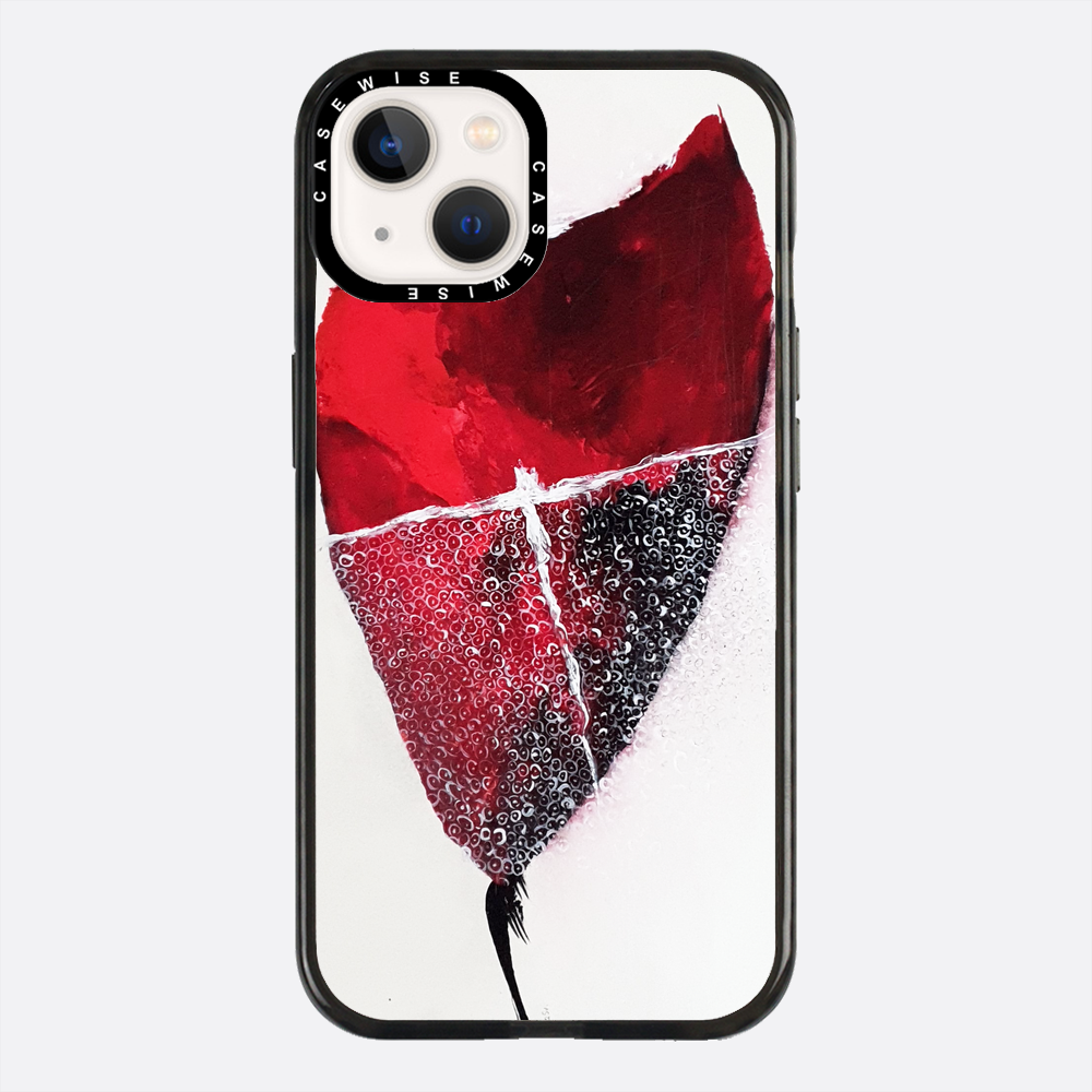 Spring 1 - Case