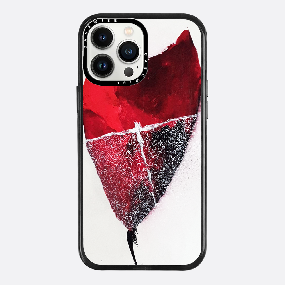 Spring 1 - Case