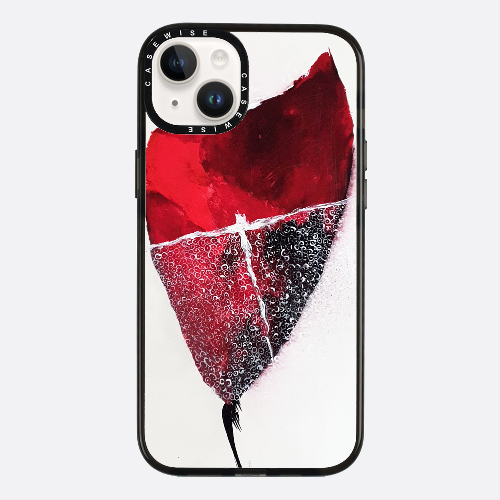Spring 1 - Case