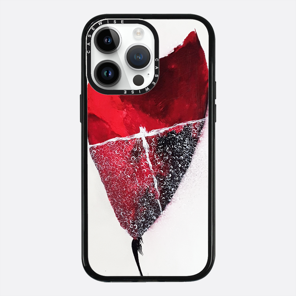 Spring 1 - Case