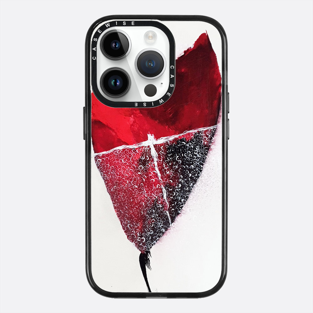Spring 1 - Case