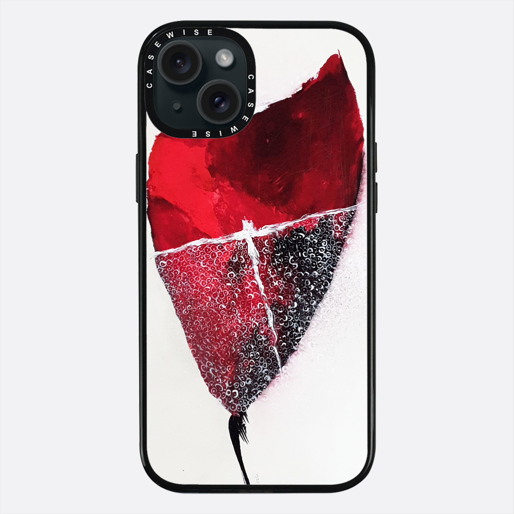 Spring 1 - Case