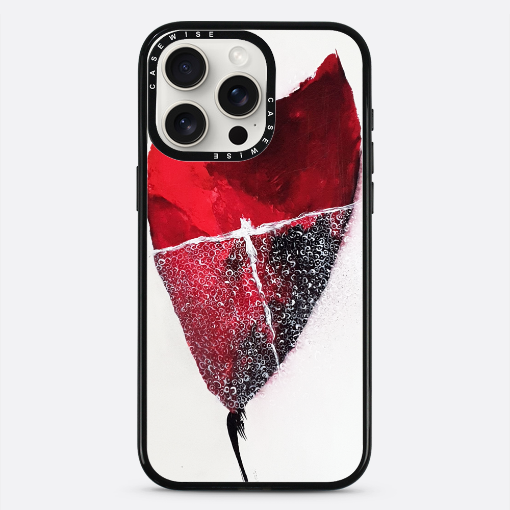 Spring 1 - Case