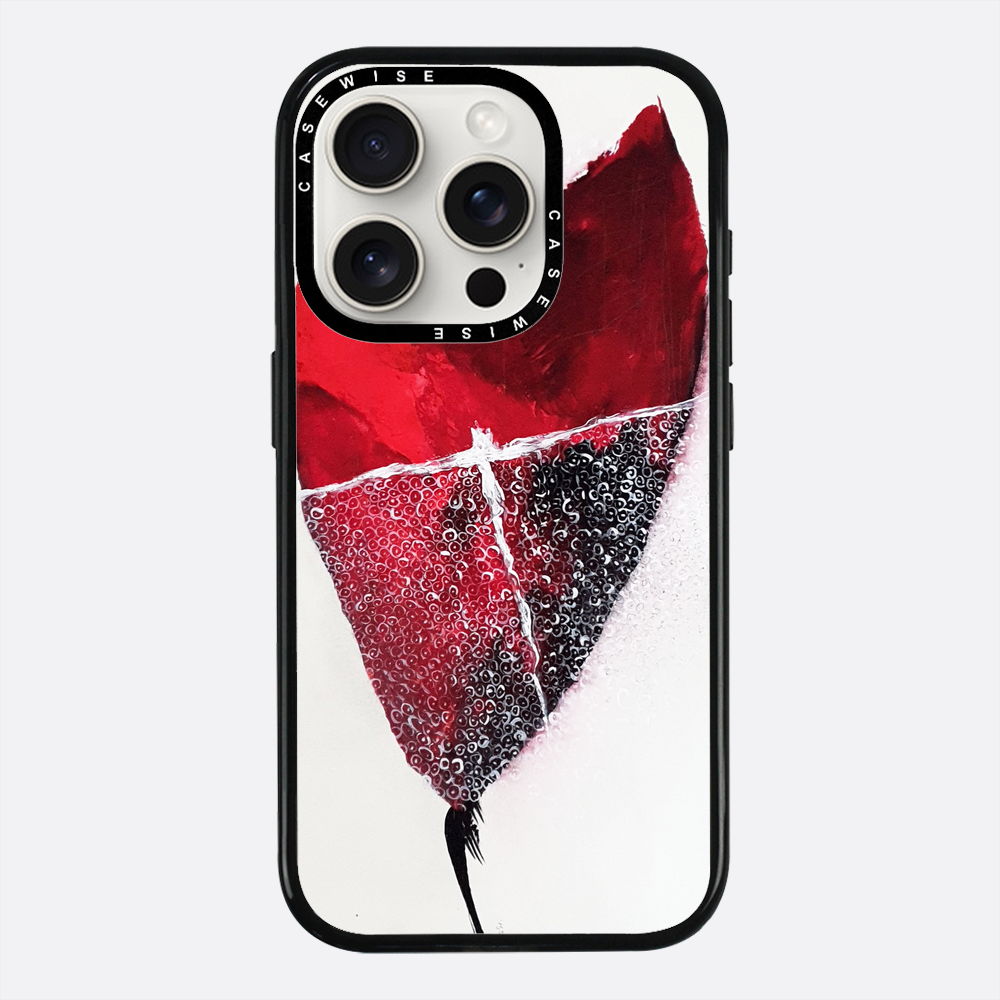 Spring 1 - Case