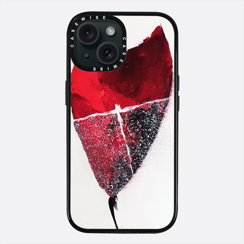 Spring 1 - Case