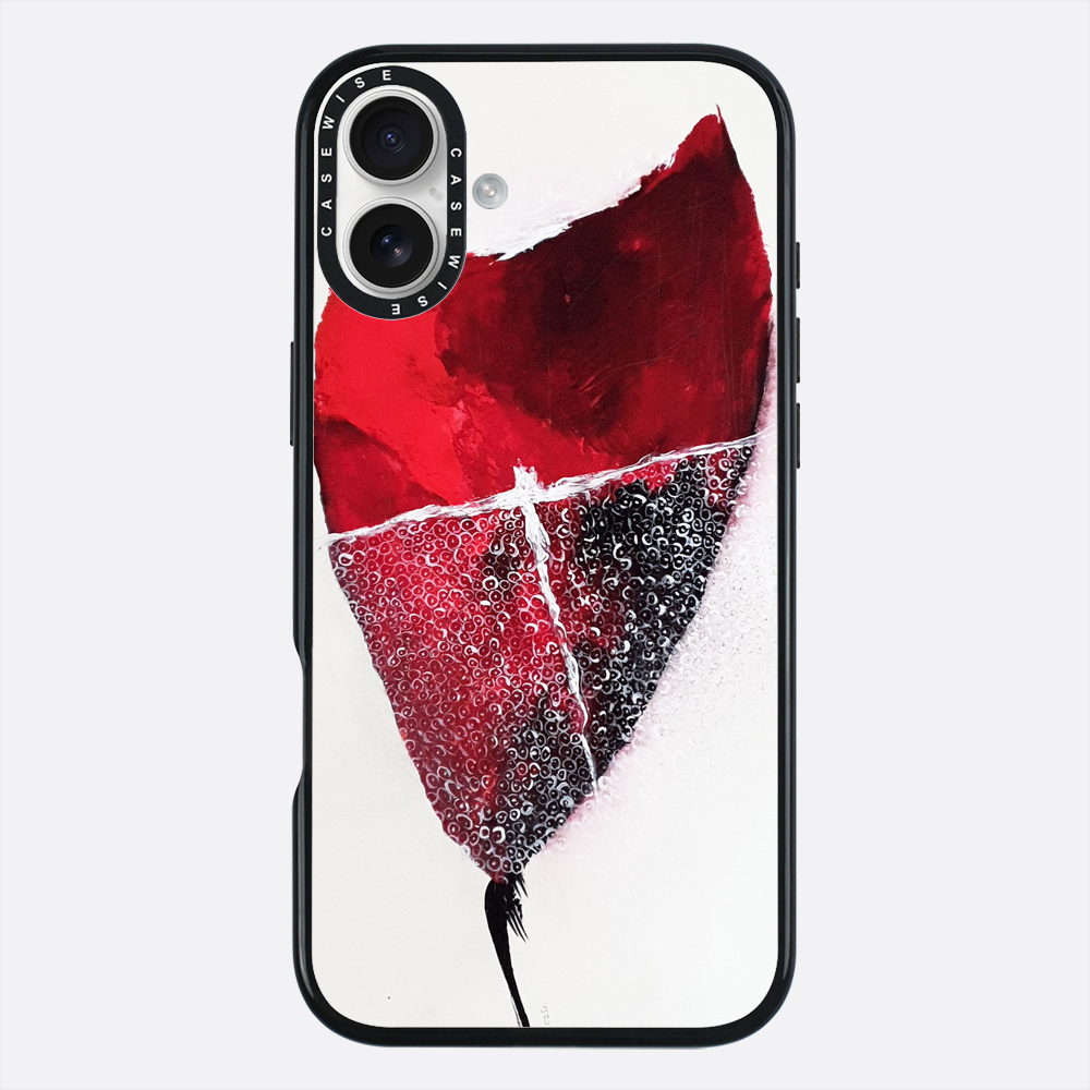 Spring 1 - Case