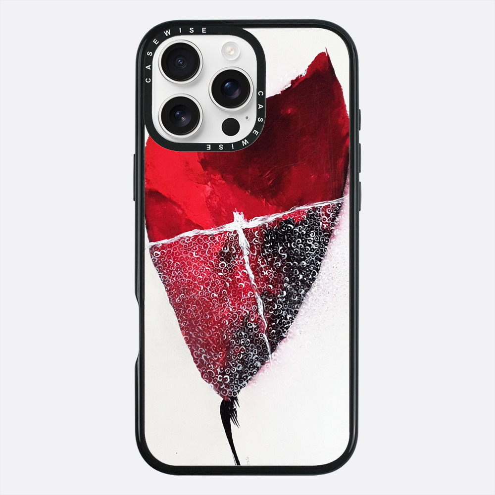 Spring 1 - Case