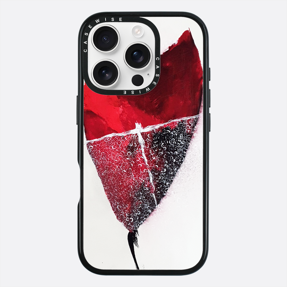 Spring 1 - Case
