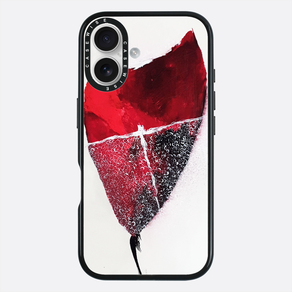 Spring 1 - Case