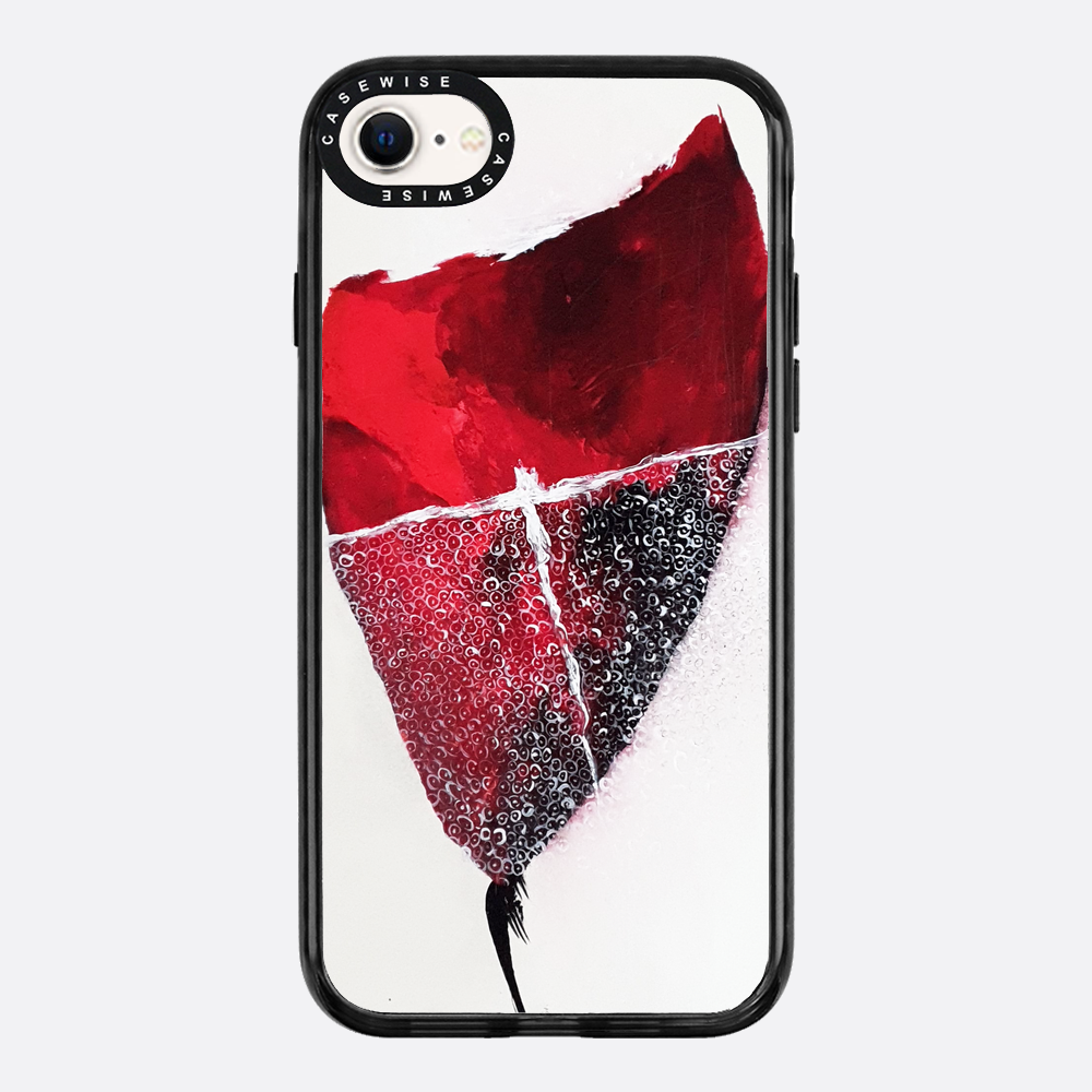 Spring 1 - Case
