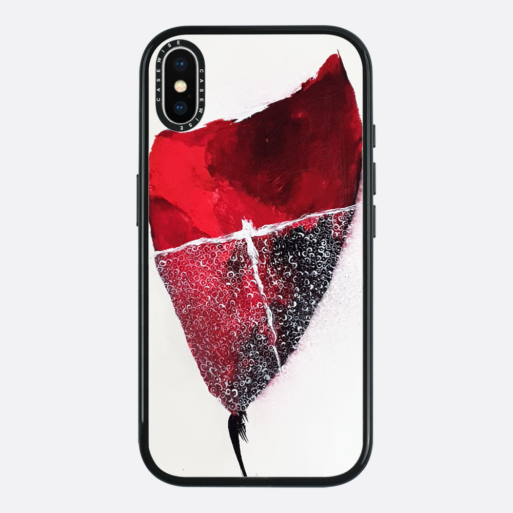 Spring 1 - Case