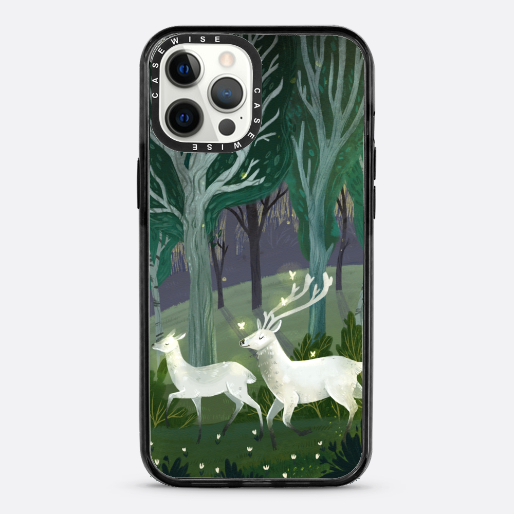 Mysterious forest - Case