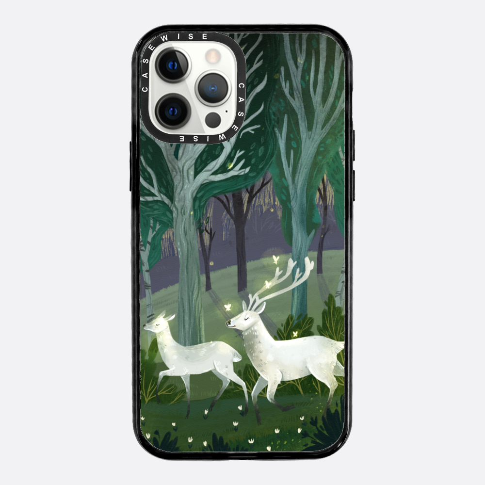 Mysterious forest - Case