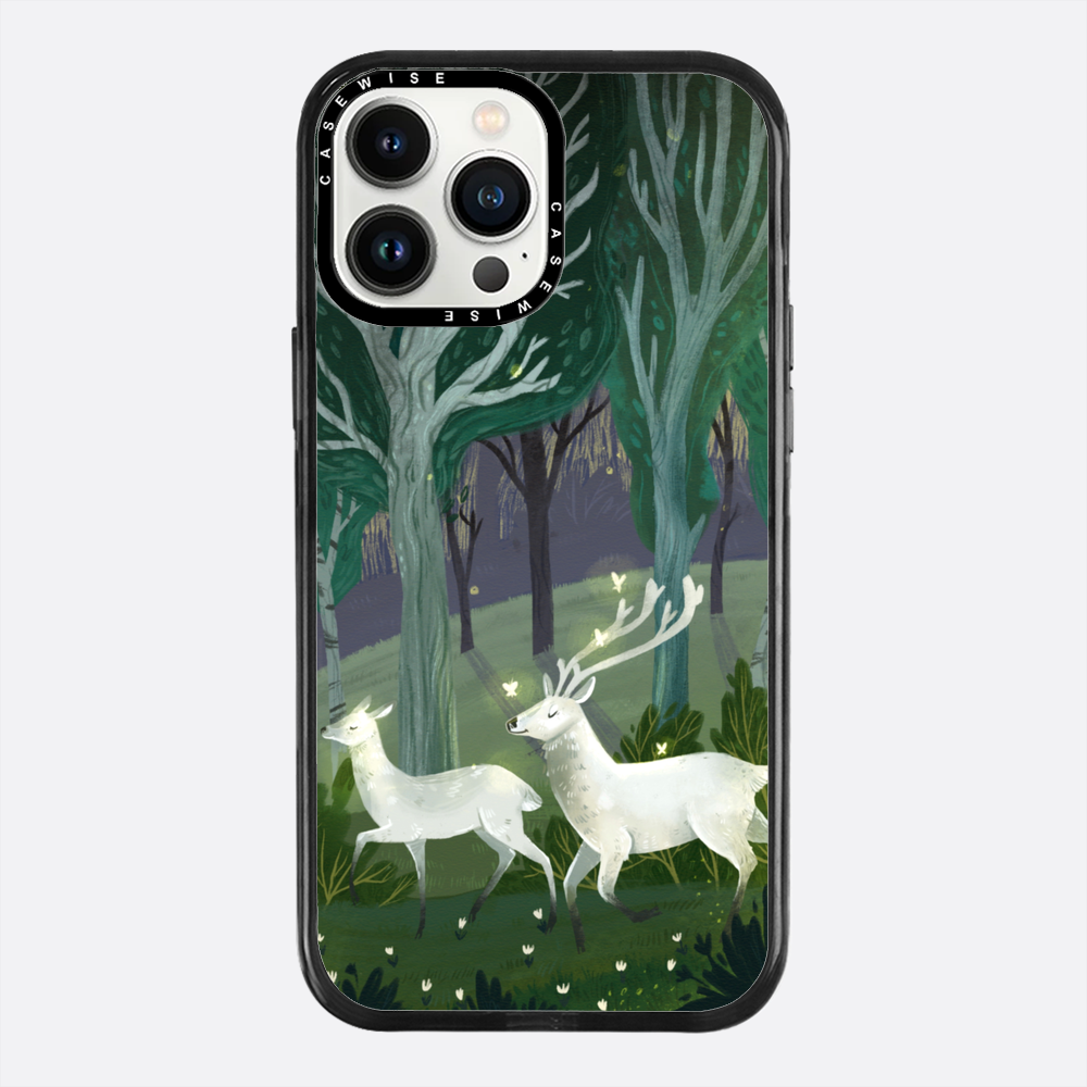 Mysterious forest - Case