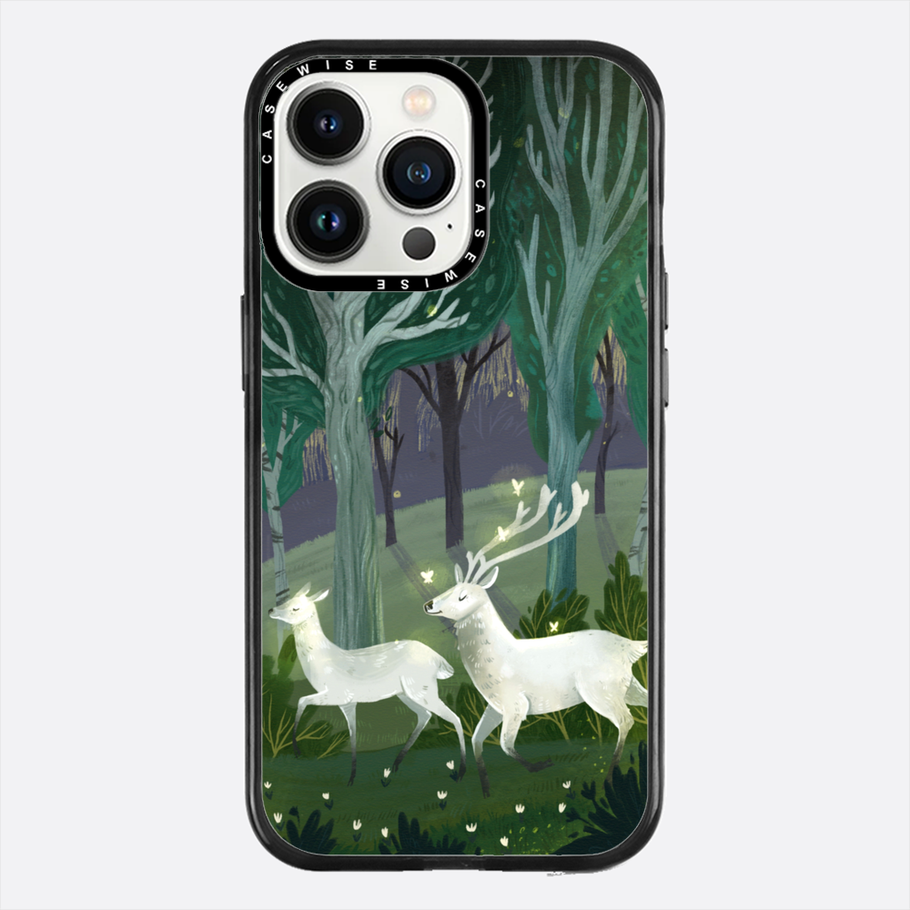 Mysterious forest - Case