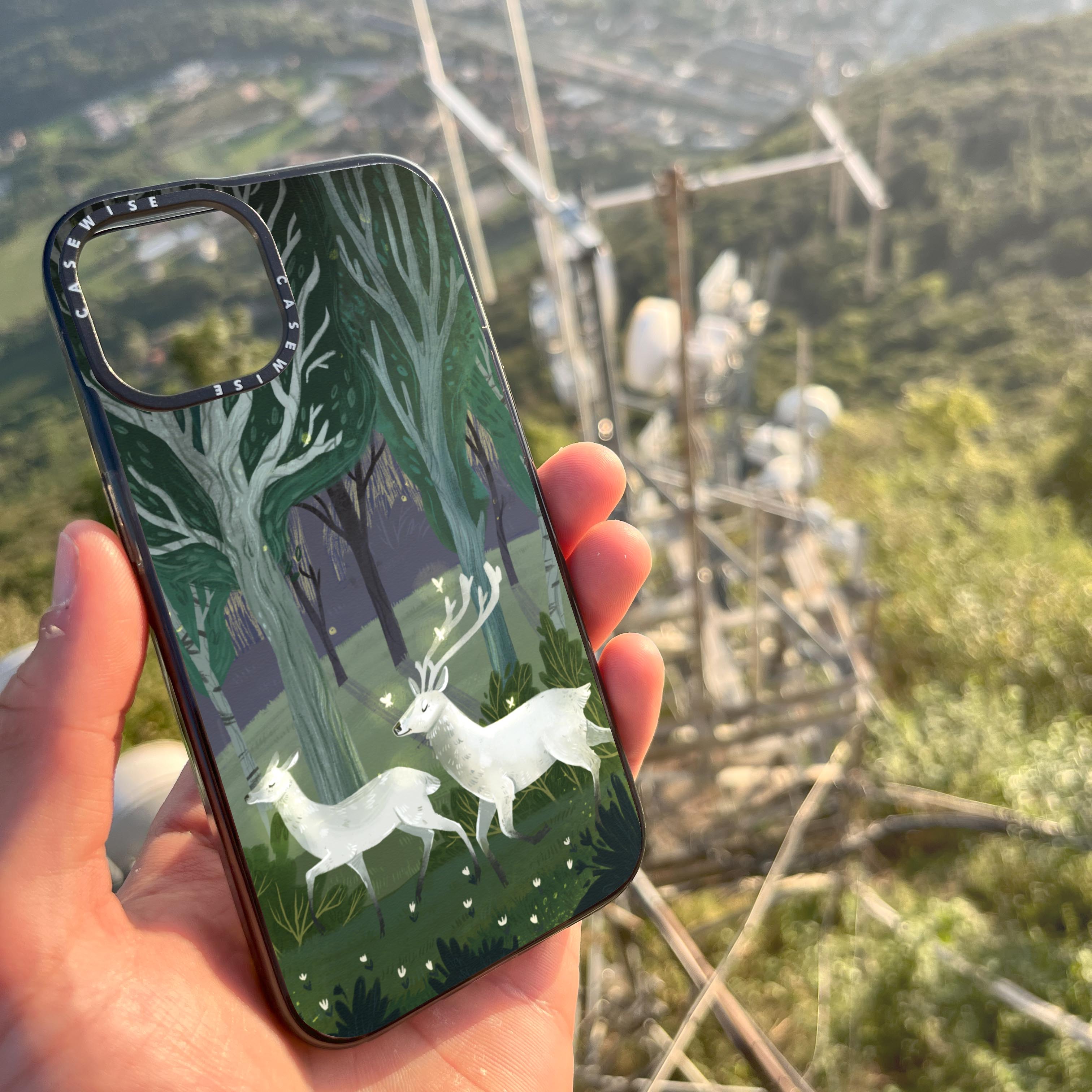 Mysterious forest - Case