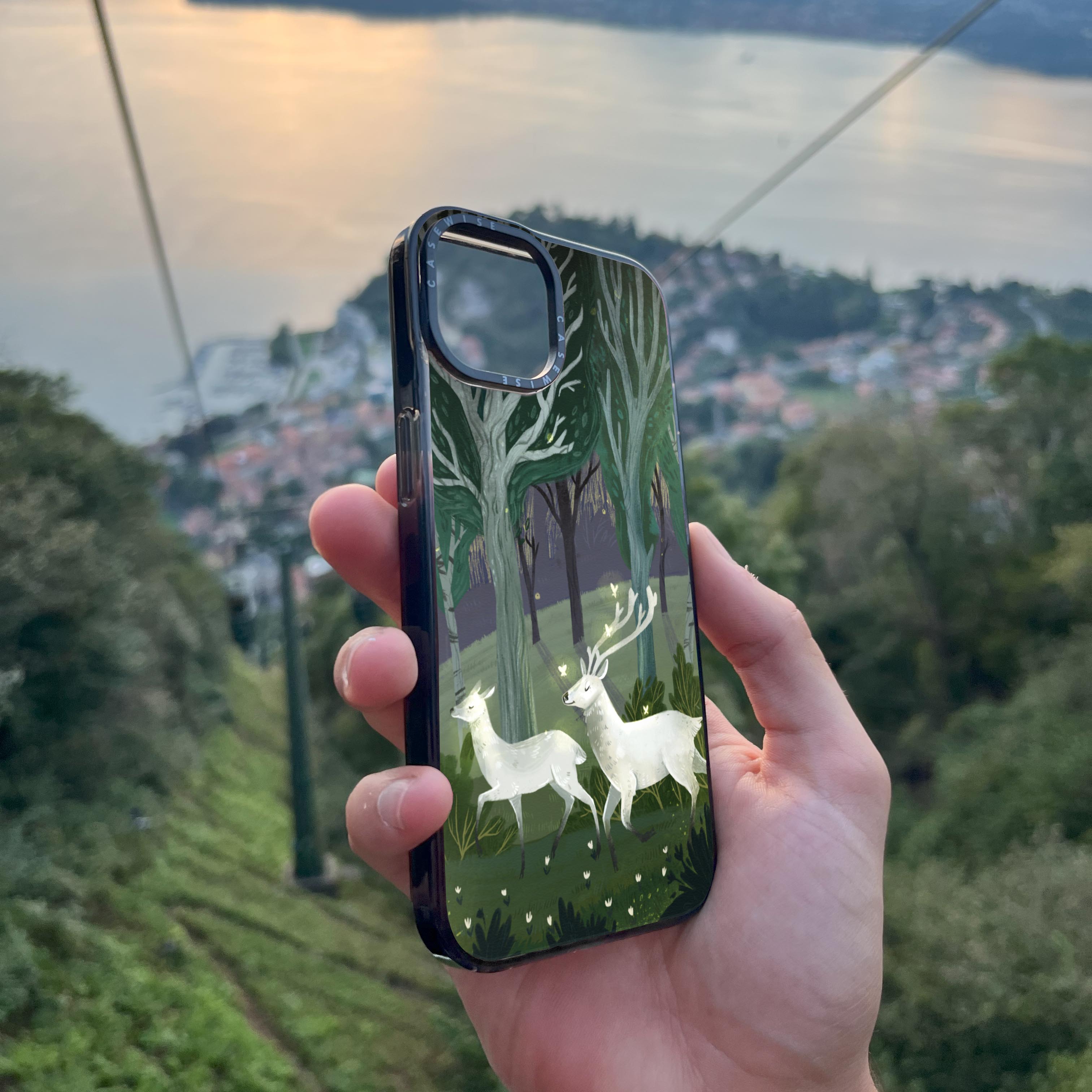 Mysterious forest - Case