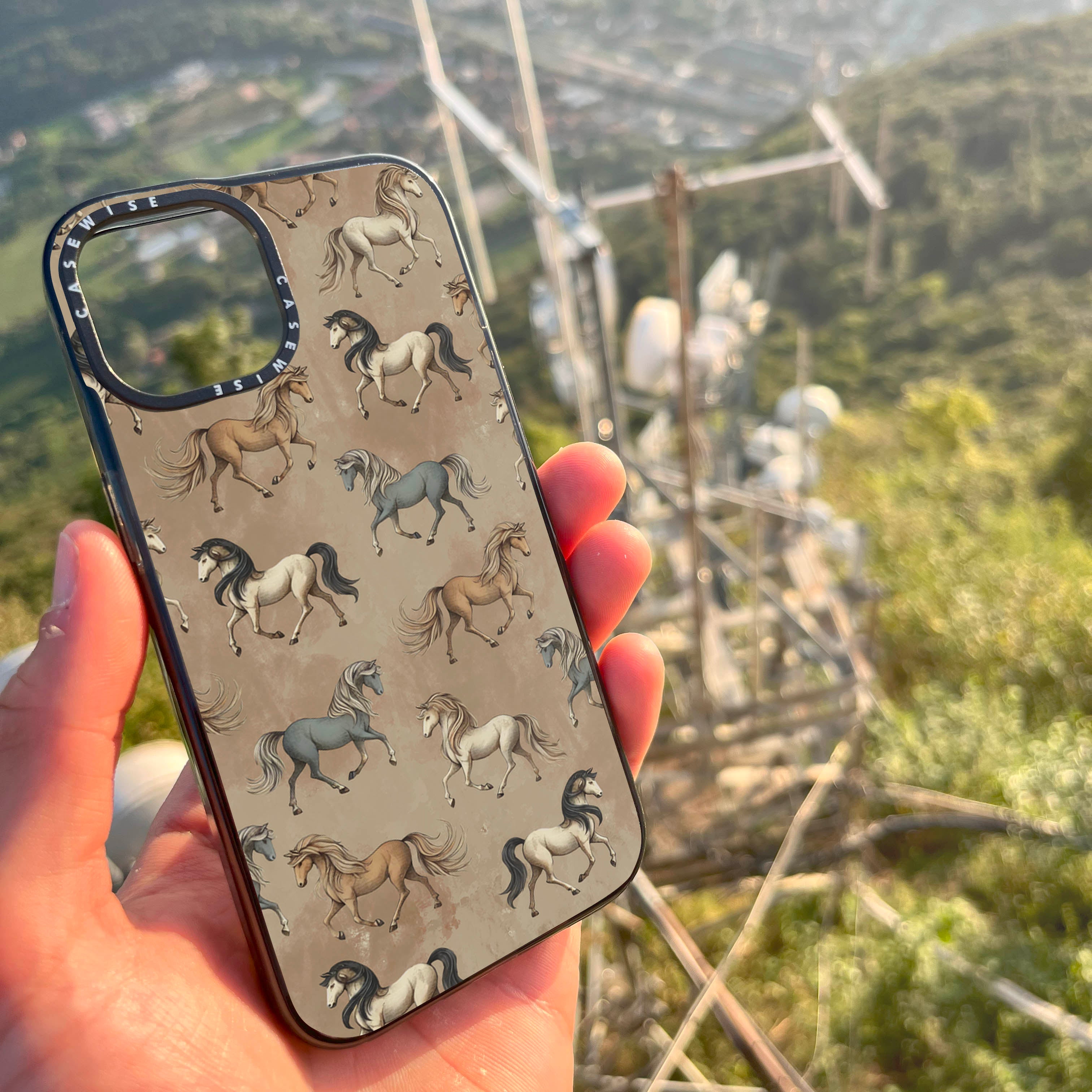 Horses 2 - Case
