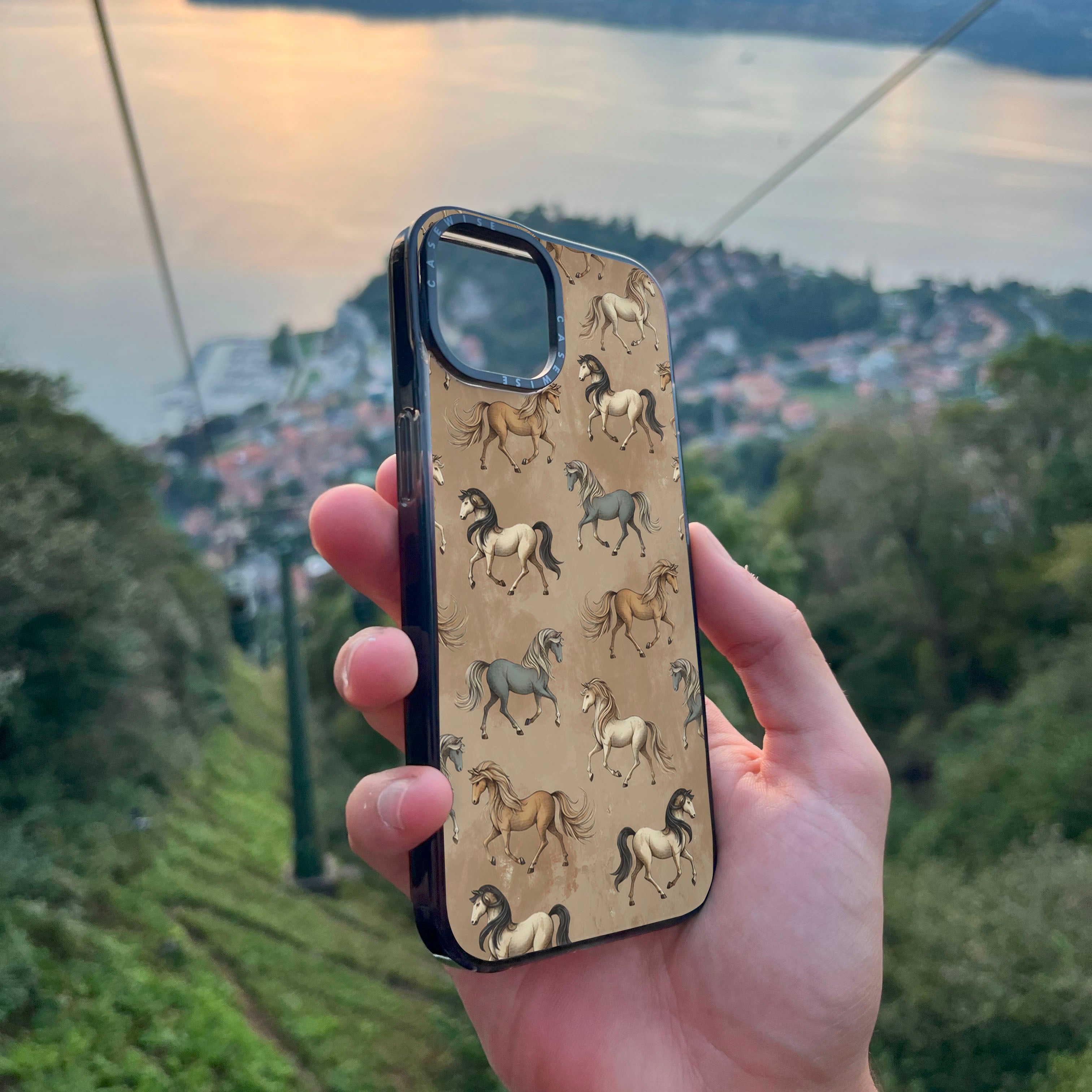 Horses 2 - Case